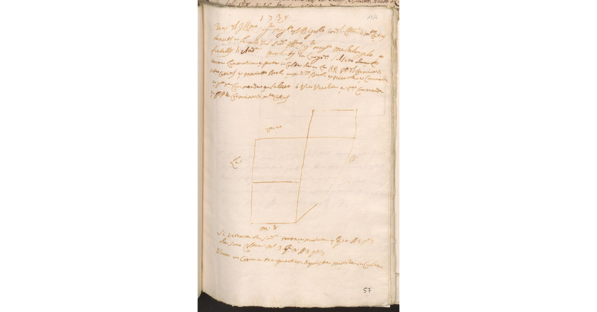 [Appezzamenti di terreno posti nella comunità di Montecatini, di proprietà del Magistrato del Bigallo e tenuti a livello dai fratelli Parlanti]