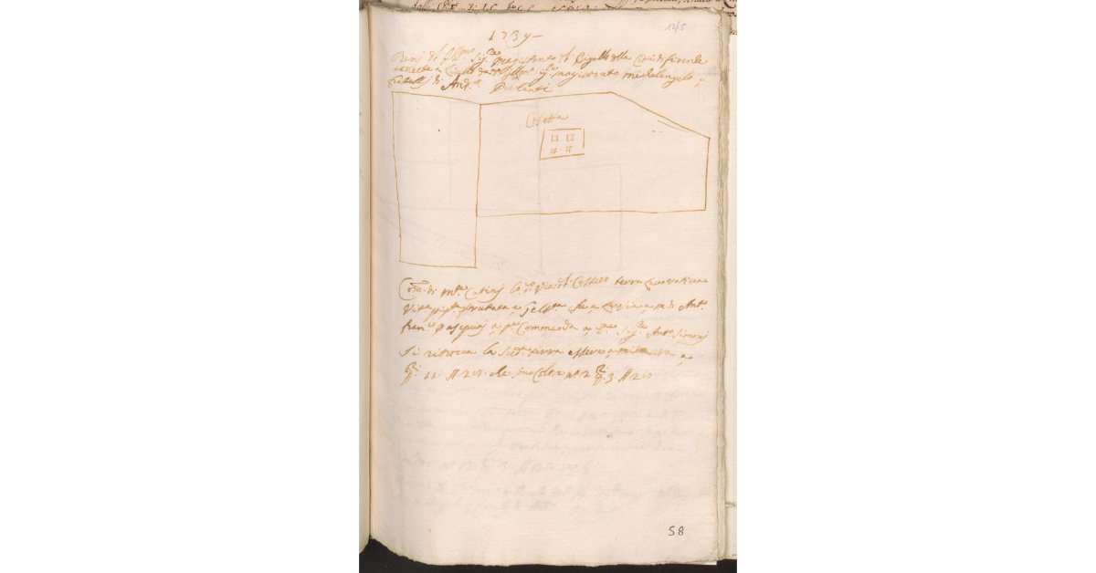 [Appezzamenti di terreno posti nella comunità di Montecatini, di proprietà del Magistrato del Bigallo e tenuti a livello dai fratelli Parlanti]