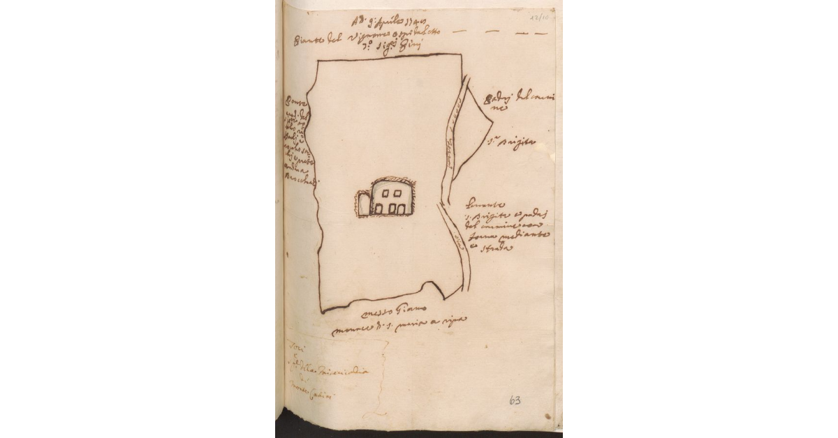 Pianta del vignone a Spidaletto