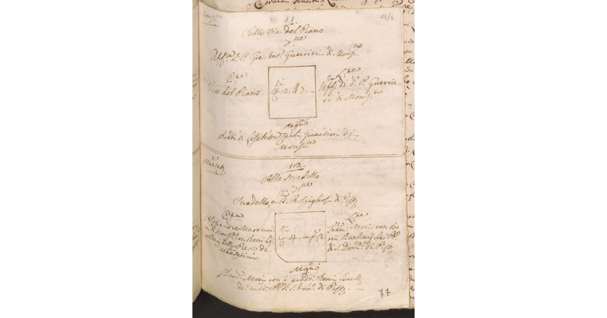 [Pianta e misura di due appezzamanti di terreno di proprietà dello Spedale di S. Bartolomeo di Monsummano e tenuti a livello dai Bolognini]