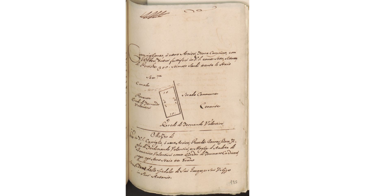 [Appezzamento di terreno alberato situato in Capriglia, di proprietà dello Spedale di S. Jacopo e S. Filippo in S. Antonio]