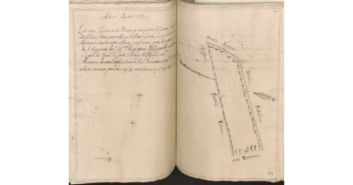 [Appezzamento di terreno posto nel piano di Pietrasanta in località la Mattonaia, di proprietà del Magistrato del Bigallo e condotto a livello da Francesco di Santi Gambogi]