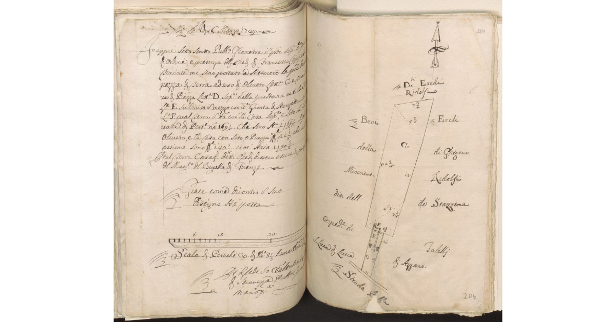 [Pianta dei terreni tenuti a livello dagli eredi di Francesco Coppede su concessione del Magistrato del Bigallo]