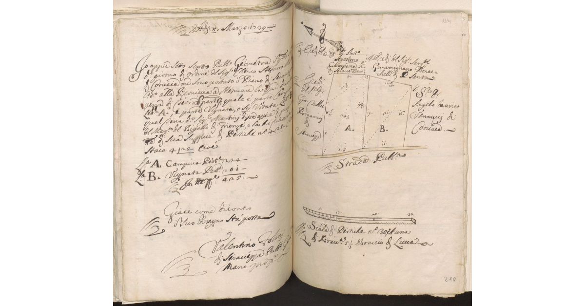 [Appezzamento di terreno in parte vitato posto nel piano di Seravezza, di proprietà del Magistrato del Bigallo]