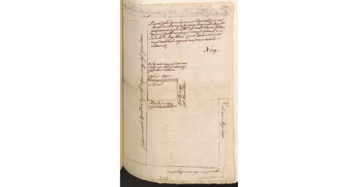 Pianta delle terre che sono nel Piano dell'Elsa, nel Popolo di S. Piero alla Canonica Potesteria di Poggibonsi quale tiene a livello il Cla.mo Sig.re Sena.re Marzi Medici, del quale livello ne paga soldi 5 l'anno allo Spedale di S. Niccolò di Poggibonsi, la quale terra è mezzo staio circondata dalli appresso confinanti antichi e moderni