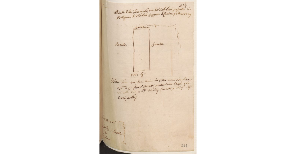 Pianta della Terra che era del Calabresi passata in Pellegrino di Michele Lazzerini