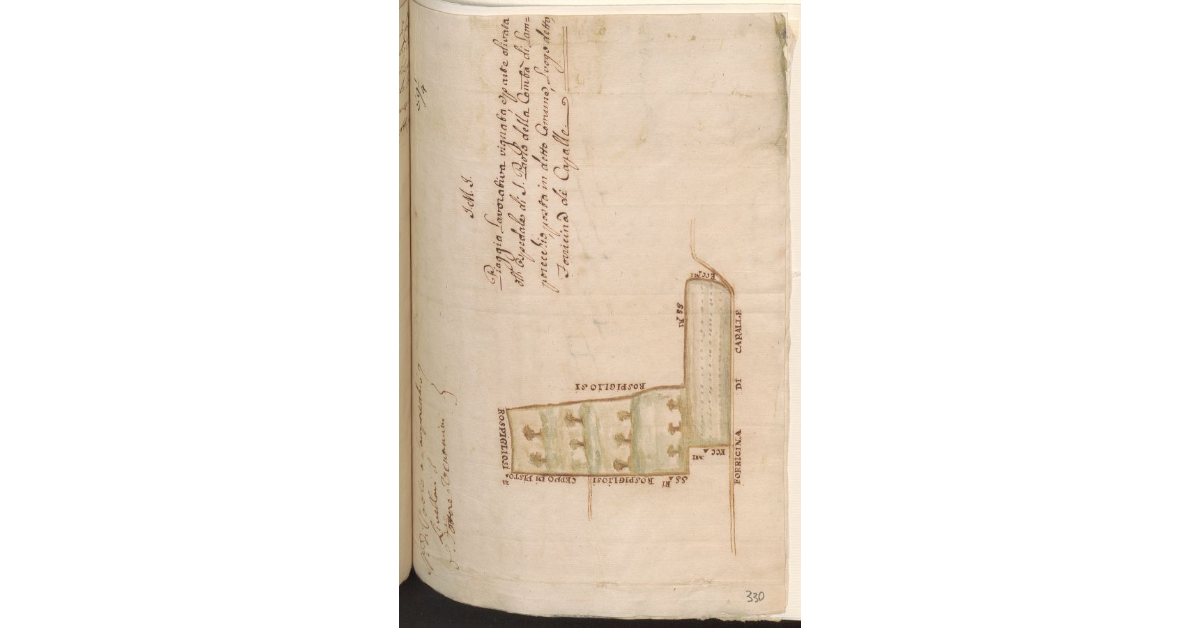 Piaggia Lavorativa vignata, e parte olivata all'Ospedale di S. Paolo della Comunità di Lamporecchio, posta in detto Comune, Luogo detto Forricina di Capalle