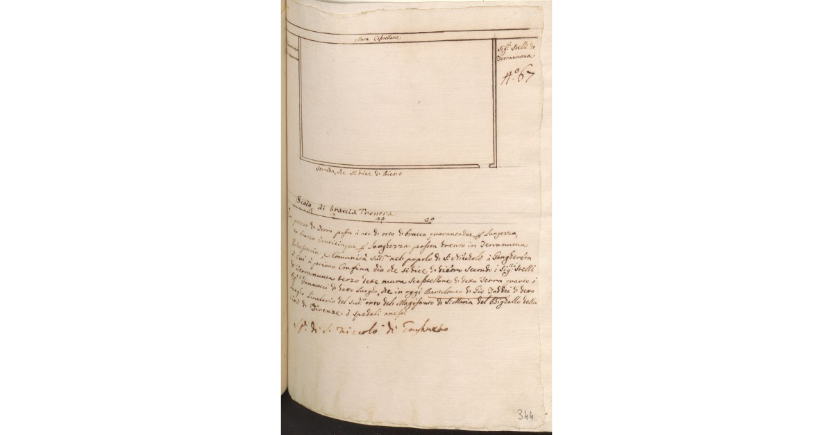 [Terreno ad uso di orto posto nella Comunità e Potesteria di Terranuova nel Popolo di S. Niccolòa Ganghereto, tenuto a livello da Bartolomeo di Giovanni Taddei]