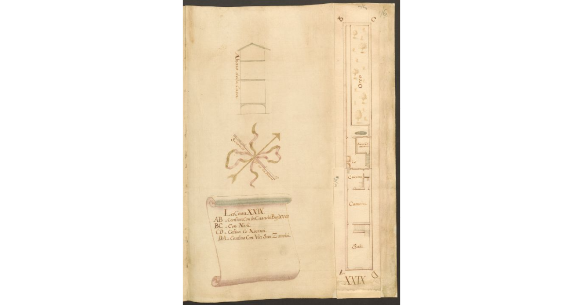 [Pianta e prospetto della casa XXIX]