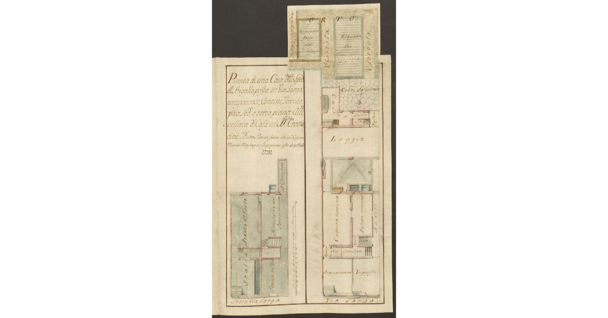 Pianta di una Casa dello Spedale del Bigallo, posta in Via Larga, componente, Cantine, Terreno, primo, secondo, e terzo piano Allivellata detta Casa ai SS.ri Cremocini