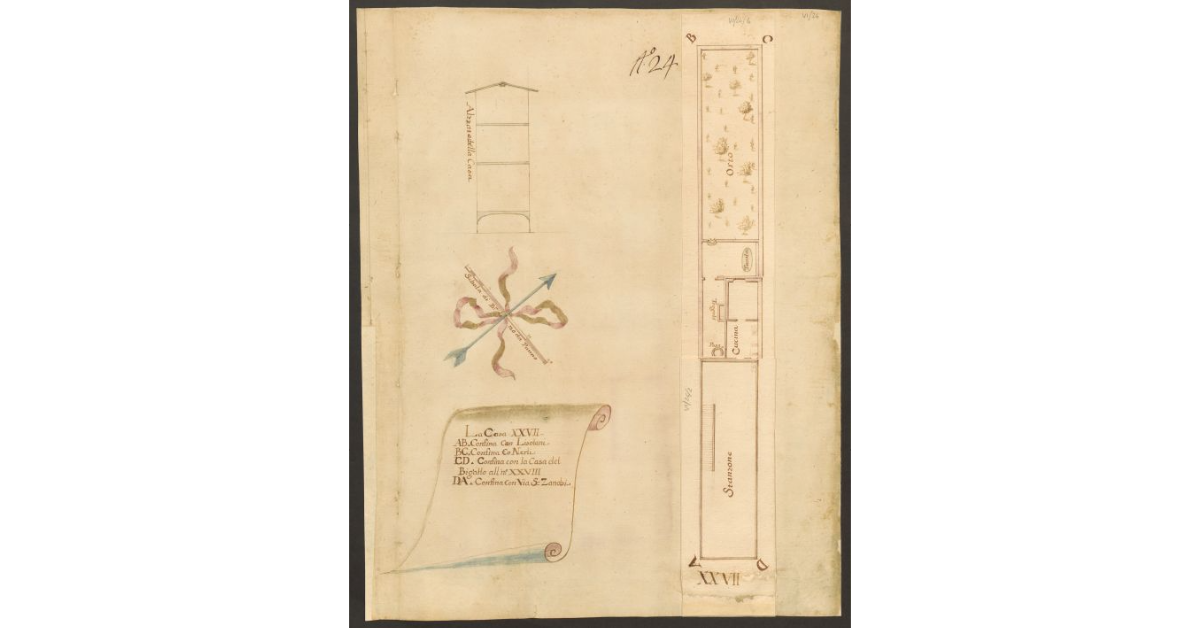 [Pianta e prospetto della casa XVII]
