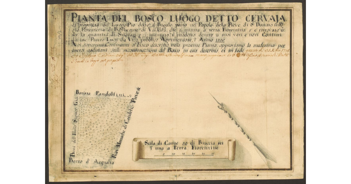 Pianta del bosco luogo detto Cervaja di proprietà del Luogo Pio detto Il Bigallo posto nel Popolo della Pieve di S. Donato in Poggio POtesteria di Barberino di Valdelsa, che a misura a terra Fiorentina s'è ritrovato esser la quantità di Stiora 13.7 misurato il suddetto dentro a suoi veri e noti Confini da me Pietro Lucij da Vico, pubblico Agrimensore, l'Anno 1776
