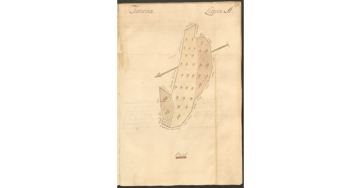 [Pianta di un terreno posto in Teverina appartenente allo Spedale di S. Onofrio e concesso a livello al sig. Cammillo Mancini]