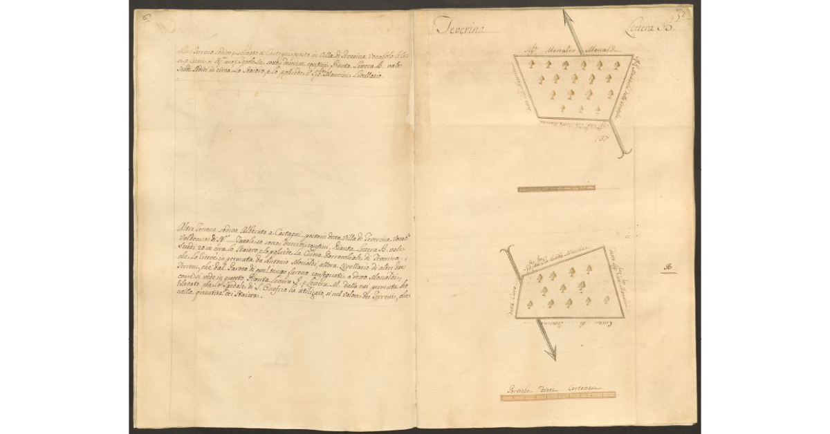 [Pianta di due appezzamenti di terreno posti in Teverina appartenenti allo Spedale di S. Onofrio e concessi rispettivamente al sig. Cammillo Mancini e alla Chiesa Parrocchiale di Teverina]
