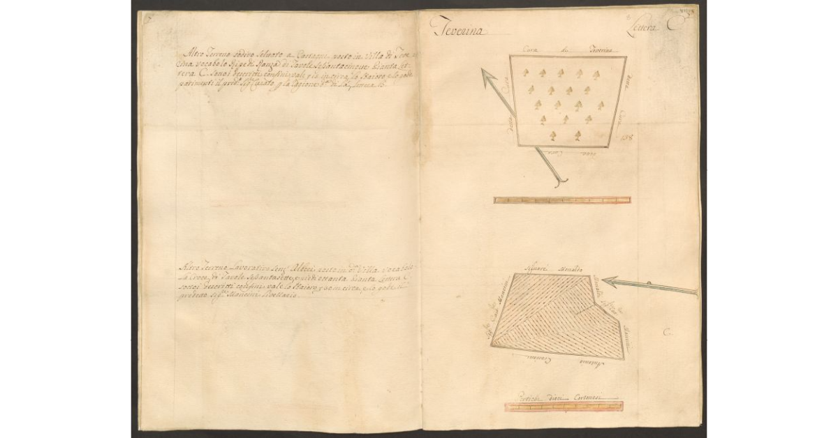 [Pianta di due appezzamenti di terreno posti in Teverina appartenenti allo Spedale di S. Onofrio e concessi rispettivamente al Curato della Chiesa Parrocchiale e al sig. Cammillo Mancini]