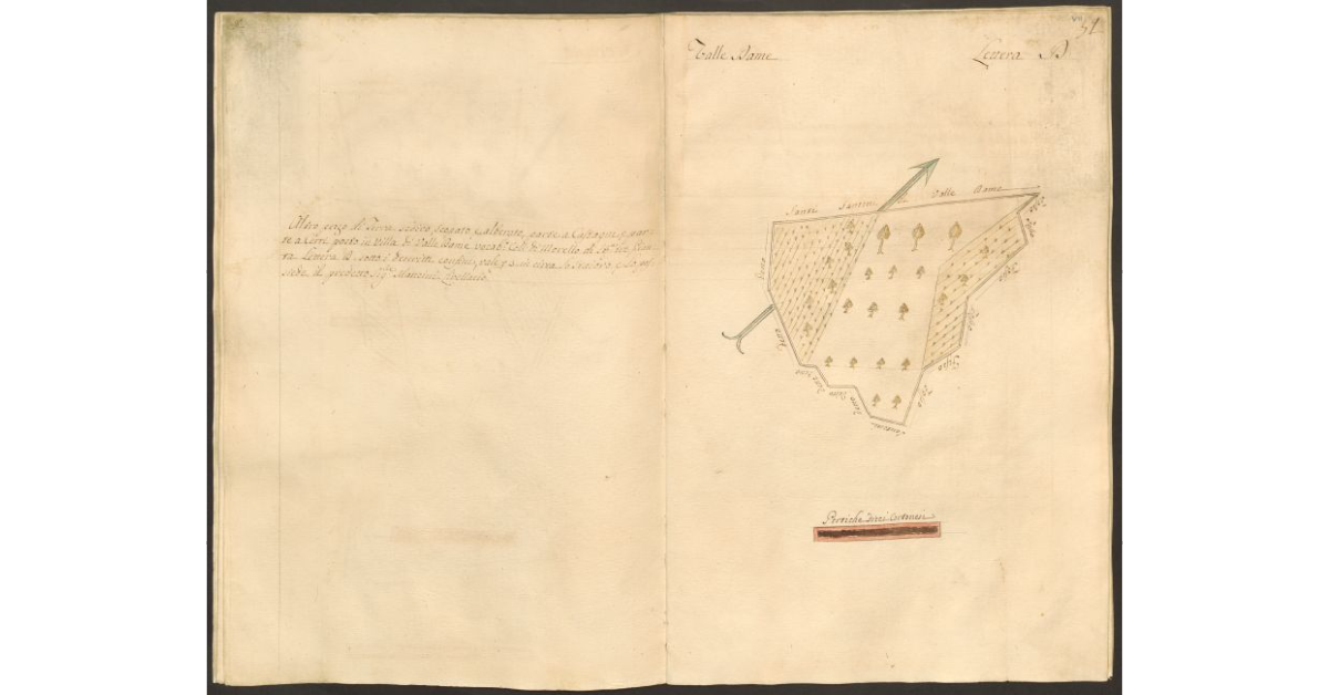 [Pianta di un appezzamento di terreno posto in Valle Dame appartenente allo Spedale di S. Onofrio e concesso a livello al sig. Cammillo Mancini]