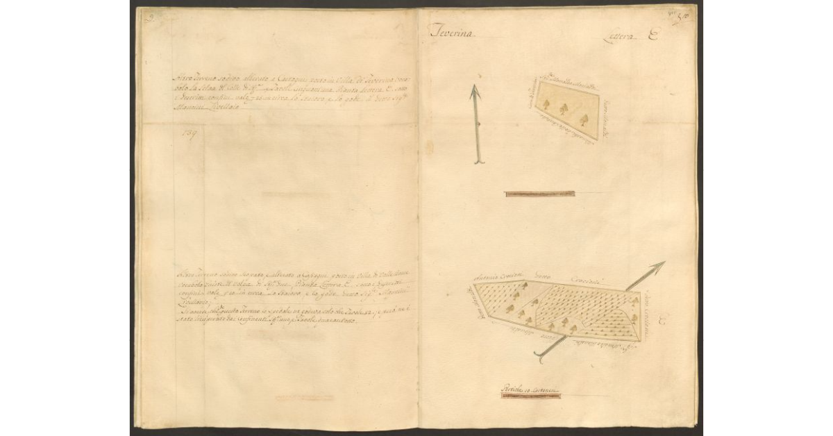 [Pianta di due appezzamenti di terreno appartenenti allo Spedale di S. Onofrio, posti rispettivamente in Teverina e Valle Dame, che sono stati concessi a livello al sig. Cammillo Mancini]