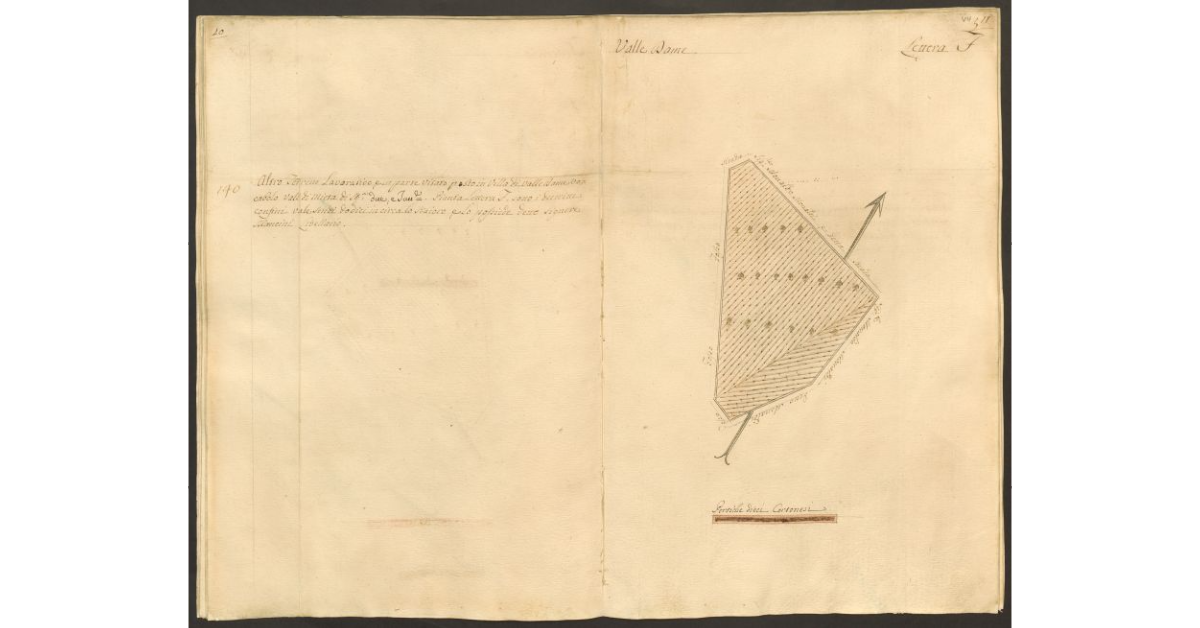 [Pianta di un appezzamento di terreno posto in Valle Dame appartenente allo Spedale di S. Onofrio e concesso a livello al sig. Cammillo Mancini]