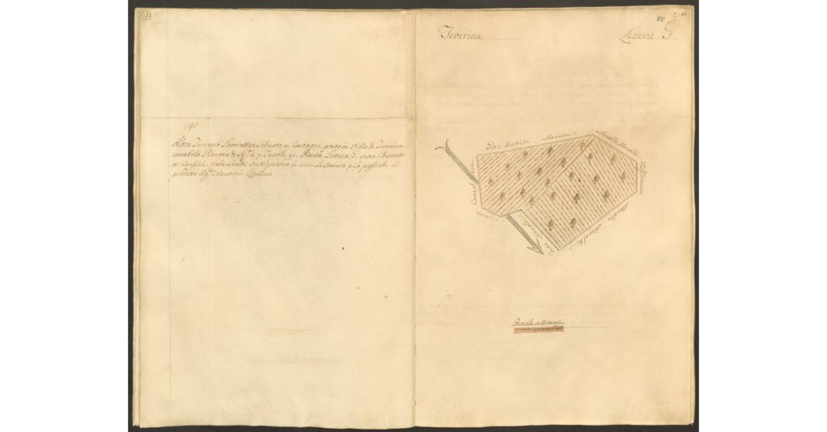 [Pianta di un appezzamento di terreno posto in Teverina appartenente allo Spedale di S. Onofrio e concesso a livello al sig. Cammillo Mancini]