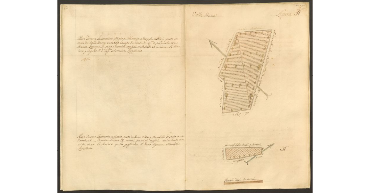 [Pianta di due appezzamenti di terreno posti in Vlle Dame appartenenti allo Spedale di S. Onofrio e concessi a livello al sig. Cammillo Mancini]