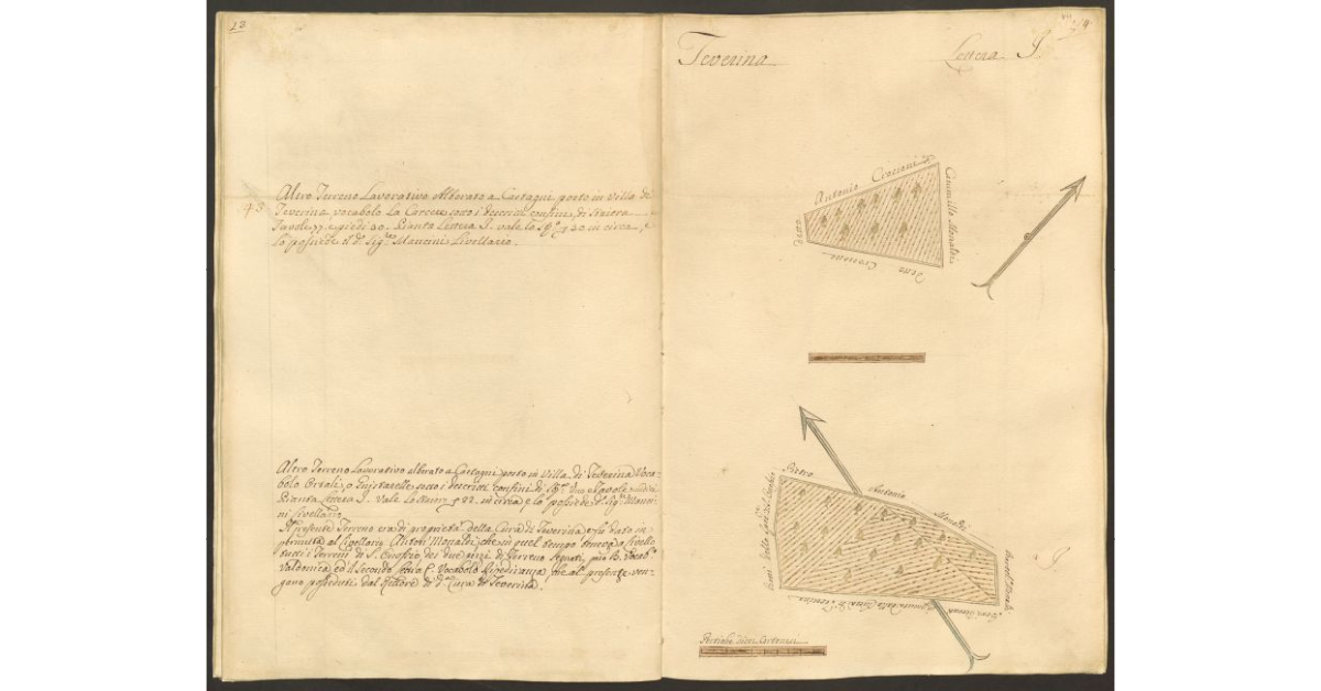 [Pianta di due appezzamenti di terreno posti in Teverina appartenenti allo Spedale di S. Onofrio e concessi a livello al sig. Cammillo Mancini]