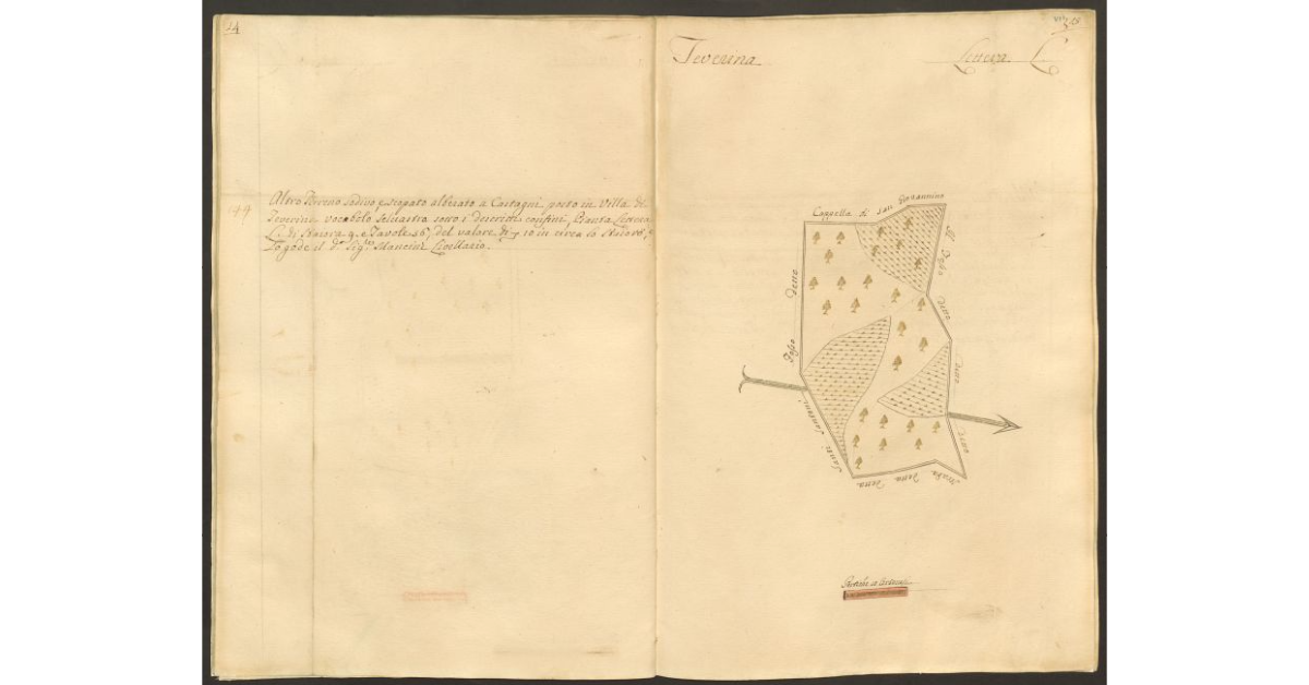 [Pianta di un appezzamento di terreno posto in Teverina appartenente allo Spedale di S. Onofrio e concesso a livello al sig. Cammillo Mancini]