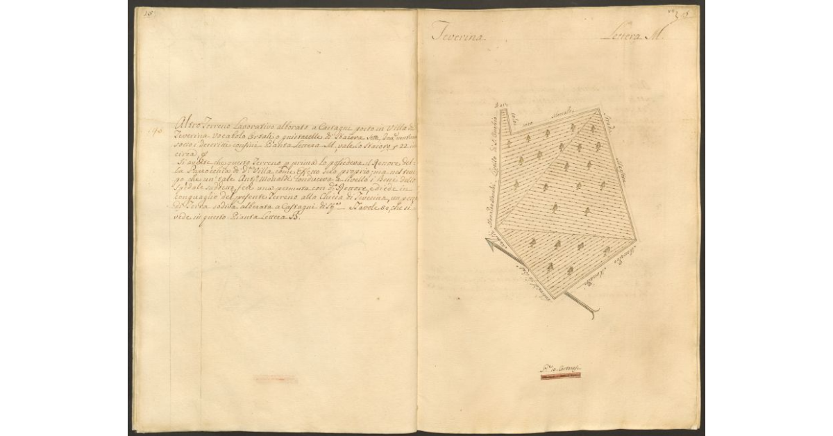 [Pianta di un appezzamento di terreno posto in Valle Dame appartenente allo Spedale di S. Onofrio e concesso a livello al sig. Antonio Monaldi]