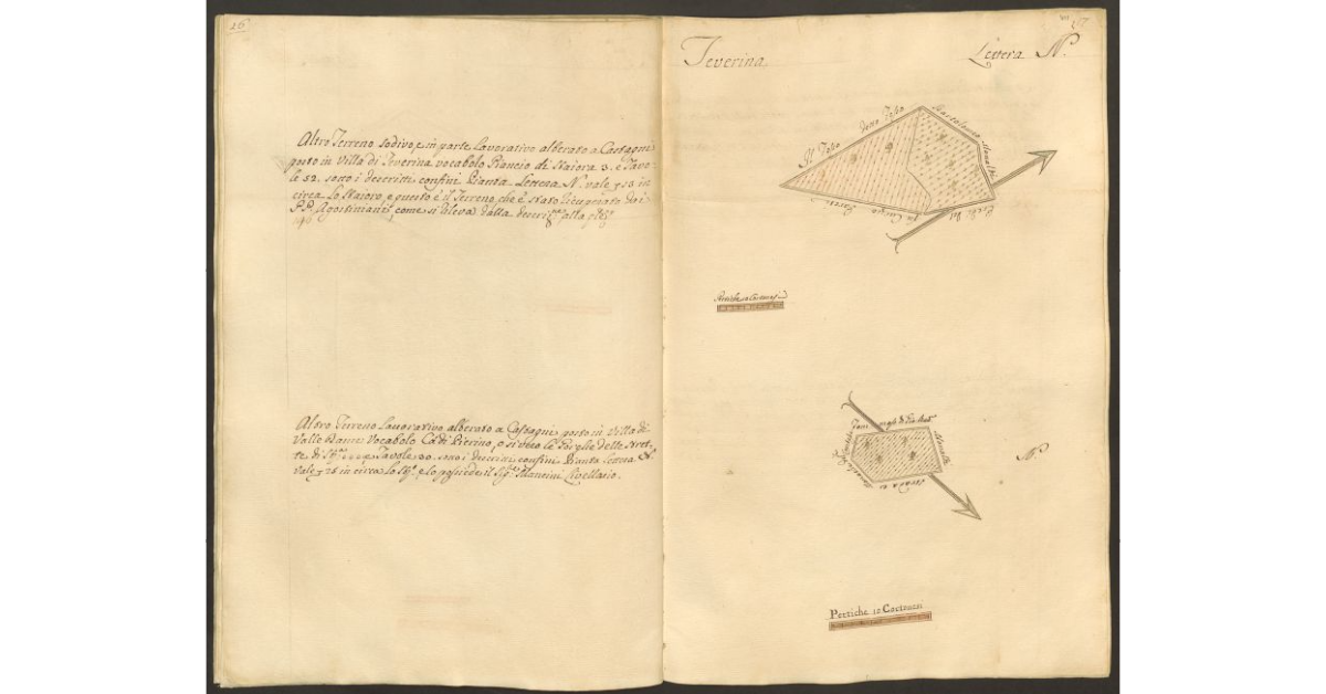 [Pianta di due appezzamenti di terreno appartenenti allo Spedale di S. Onofrio, posti rispettivamente in Teverina e Valle Dame, di cui uno posseduto dai Padri Agostiniani e l'altro dal sig. Cammillo Mancini]