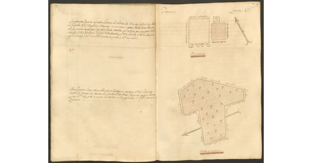 [Pianta della casa dello Spedale di S. Onofrio e di un appezzamento di terreno posto in Teverina concesso a livello al. sig. Cammillo Mancini]