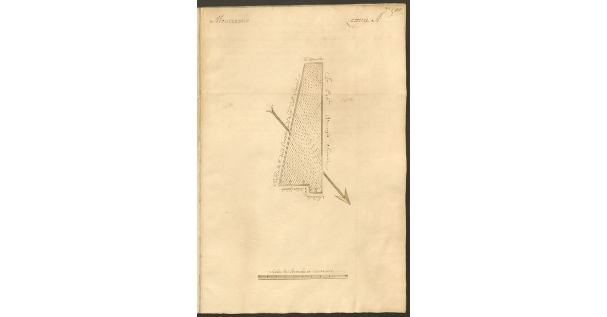 [Pianta di un appezzamento di terreno posto in Montecchio appartenente allo Spedale di S. Cristofano e concesso a livello a Cristofano Fierli]