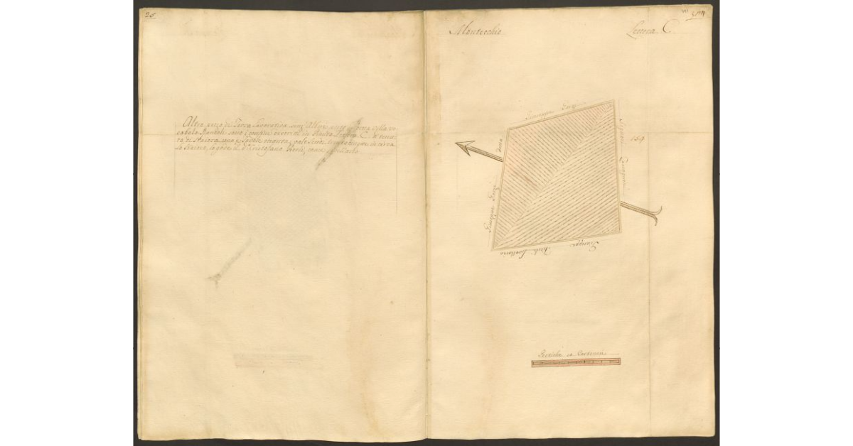 [Pianta di un appezzamento di terreno posto in Montecchio appartenente allo Spedale di S. Cristofano e concesso a livello a Cristofano Fierli]