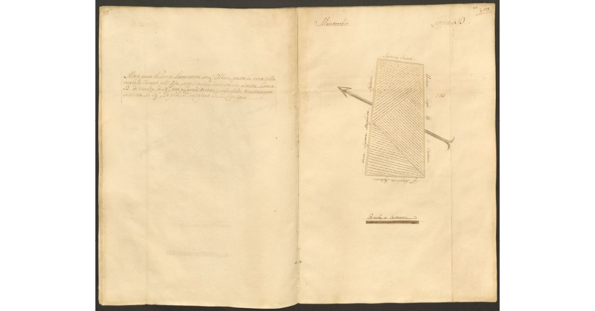 [Pianta di un appezzamento di terreno posto in Montecchio appartenente allo Spedale di S. Cristofano e concesso a livello a Cristofano Fierli]