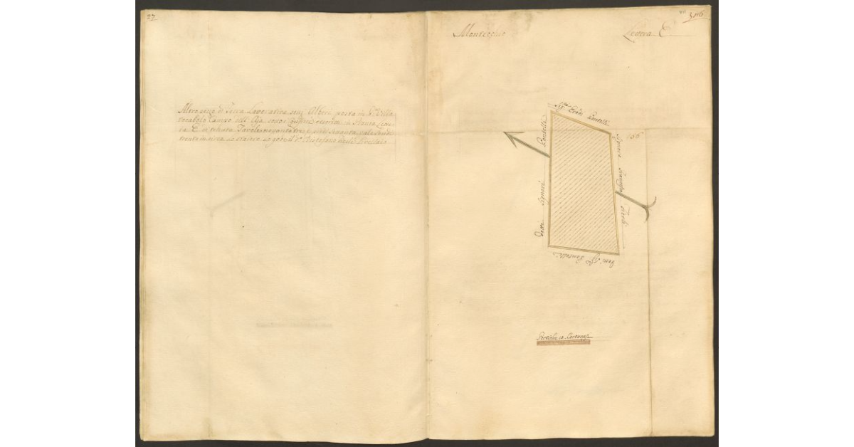 [Pianta di un appezzamento di terreno posto in Montecchio appartenente allo Spedale di S. Cristofano e concesso a livello a Cristofano Fierli]