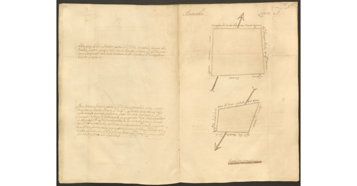 [Pianta di due appezzamenti di terreno posti in Montecchio apparteneti allo Spedale di S. Cristofano e concessi a livello a Cristofano Fierli]
