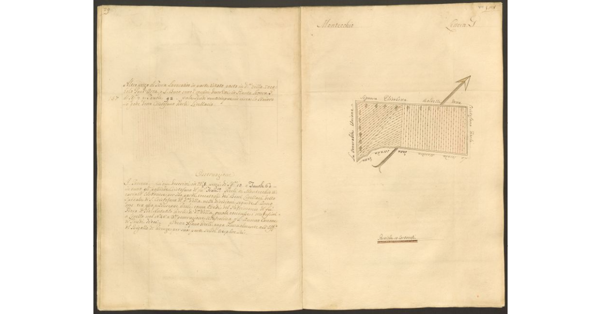 [Pianta di un appezzamento di terreno posto in Montecchio appartenente allo Spedale di S. Cristofano e concesso a livello a Cristofano Fierli]