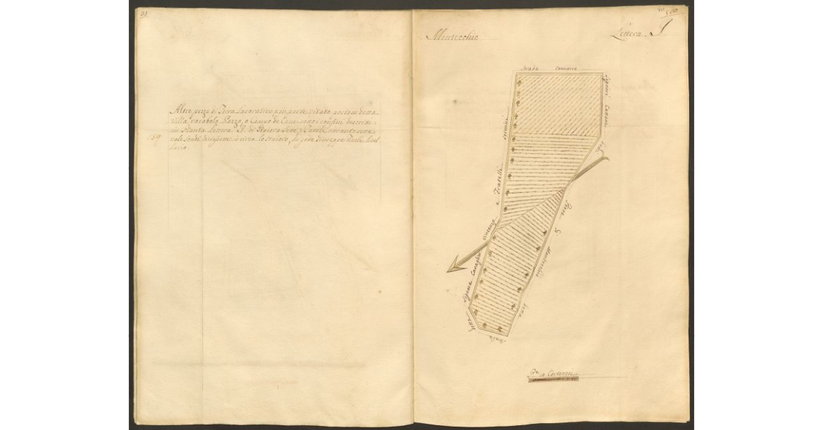 [Pianta di un appezzamento di terreno posto in Montecchio appartenente allo Spedale di S. Cristofano e concesso a livello a Giuseppe Fierli]