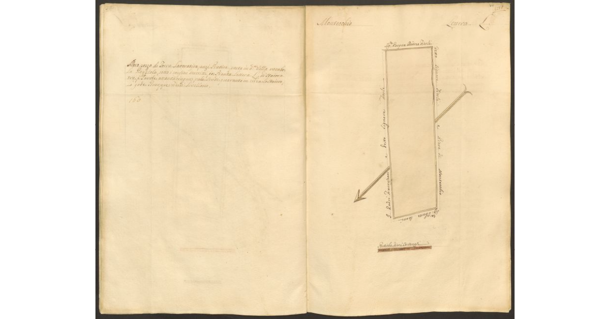 [Pianta di un appezzamento di terreno posto in Montecchio appartenente allo Spedale di S. Cristofano e concesso a livello a Giuseppe Fierli]