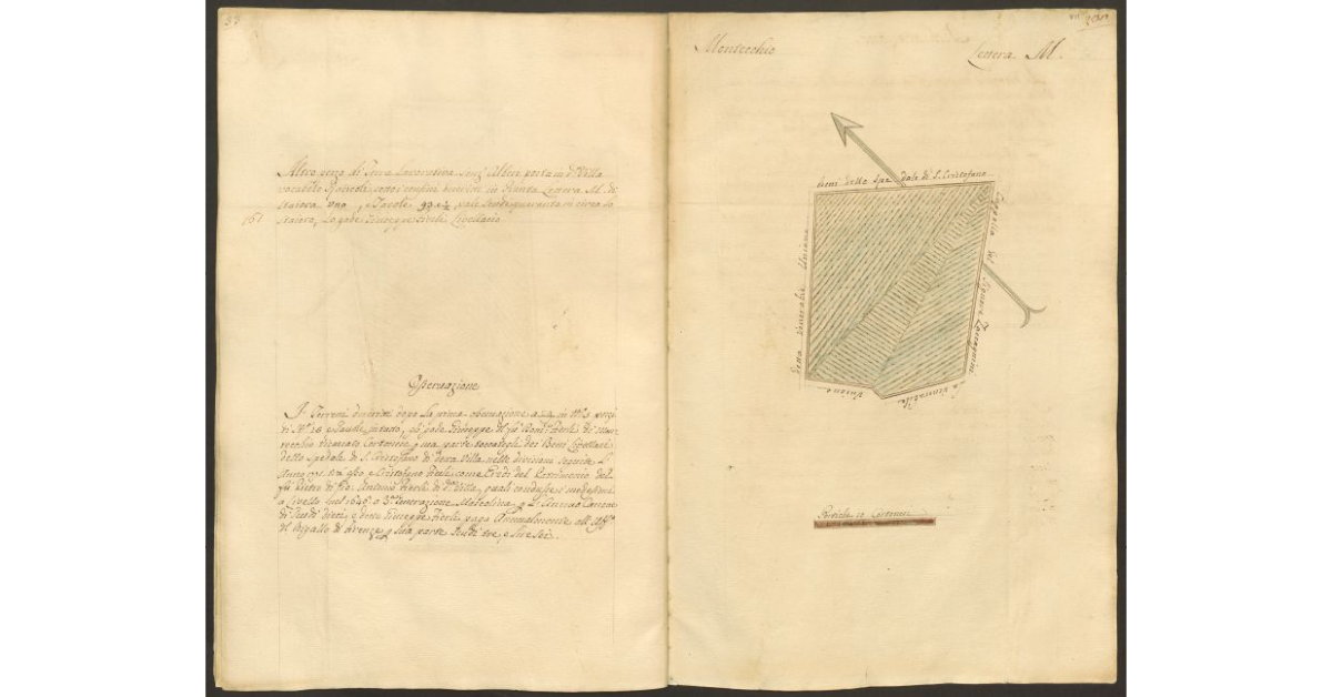 [Pianta di un appezzamento di terreno posto in Montecchio appartenente allo Spedale di S. Cristofano e concesso a livello a Giuseppe Fierli]