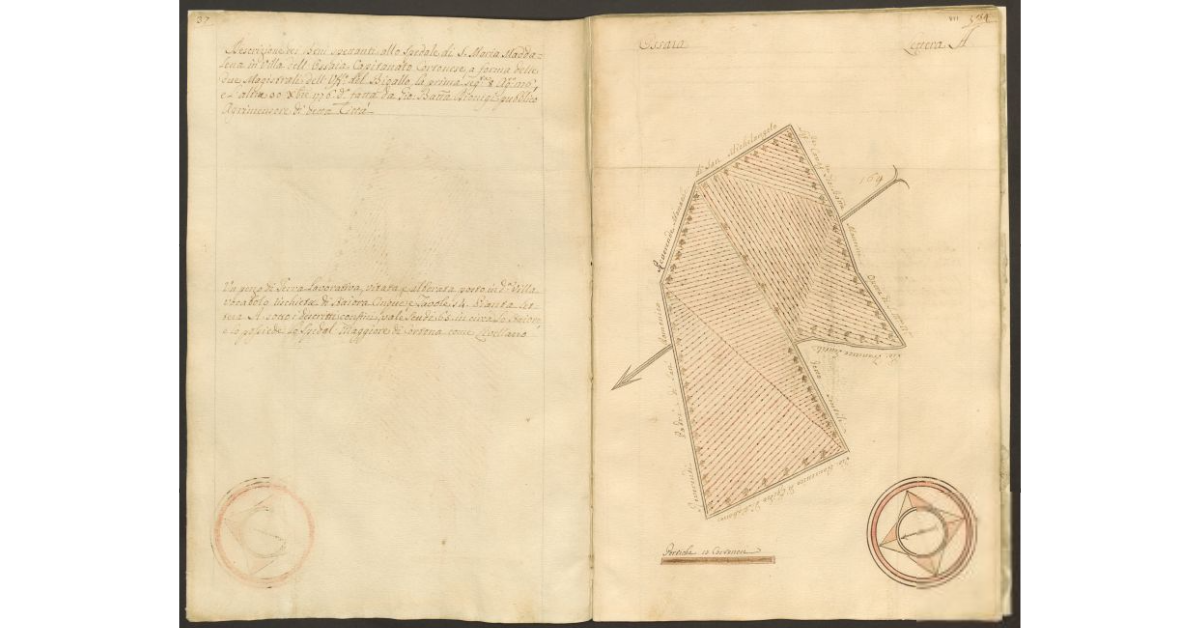[Pianta di un appezzamento di terreno posto in Ossaia appartenente allo Spedale di S. Maria Maddalena e tenuto a livello dallo Spedale Maggiore di Cortona]