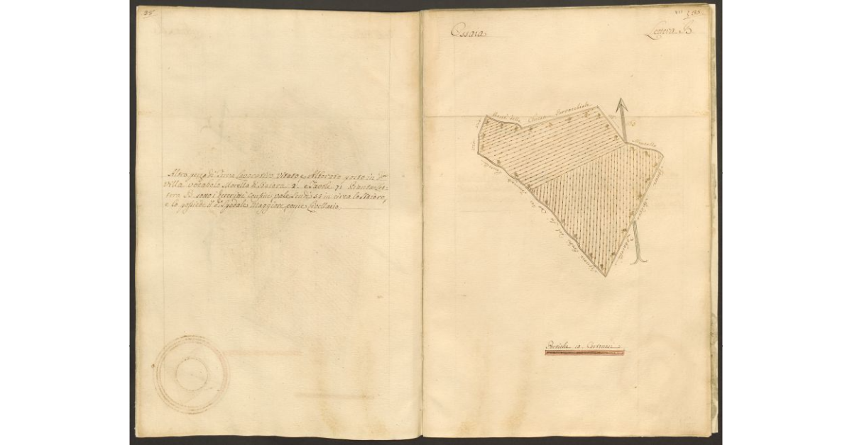 Pianta di un appezzamento di terreno posto in Ossaia appartenente allo Spedale di S. Maria Maddalena e tenuto a livello dallo Spedale Maggiore di Cortona]