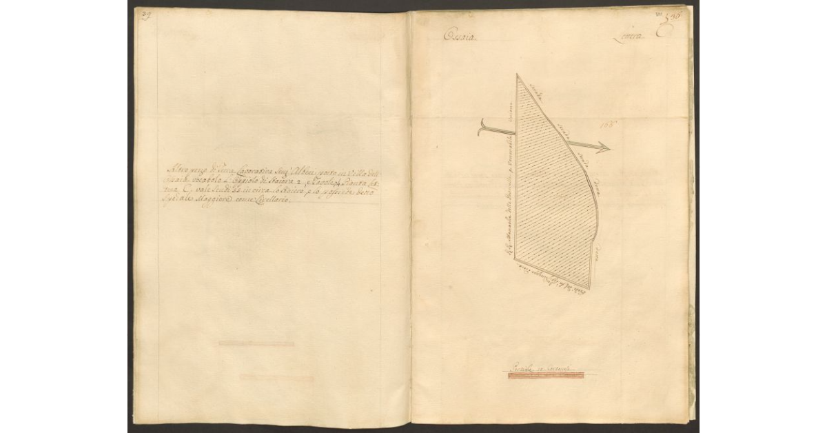 [Pianta di un appezzamento di terreno posto in Ossaia appartenente allo Spedale di S. Maria Maddalena e tenuto a livello dallo Spedale Maggiore di Cortona]