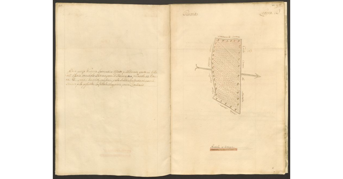 Pianta di un appezzamento di terreno posto in Ossaia appartenente allo Spedale di S. Maria Maddalena e tenuto a livello dallo Spedale Maggiore di Cortona]