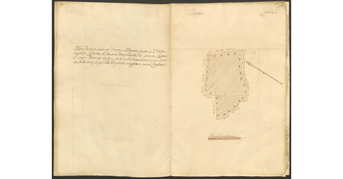 Pianta di un appezzamento di terreno posto in Ossaia appartenente allo Spedale di S. Maria Maddalena e tenuto a livello dallo Spedale Maggiore di Cortona]