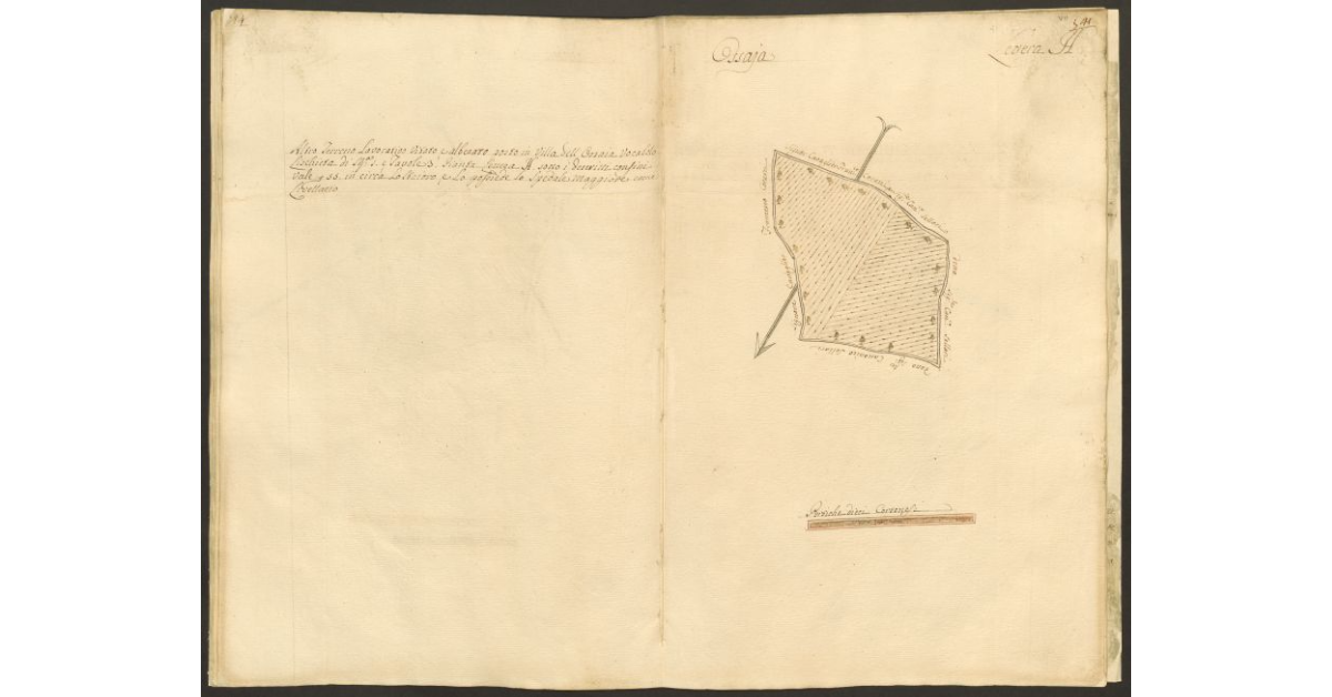 [Pianta di un appezzamento di terreno posto in Ossaia appartenente allo Spedale di S. Maria Maddalena e tenuto a livello dallo Spedale Maggiore di Cortona]