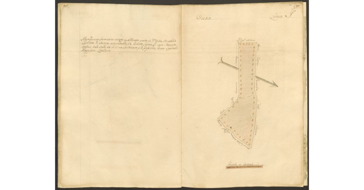 [Pianta di un appezzamento di terreno posto in Ossaia appartenente allo Spedale di S. Maria Maddalena e tenuto a livello dallo Spedale Maggiore di Cortona]