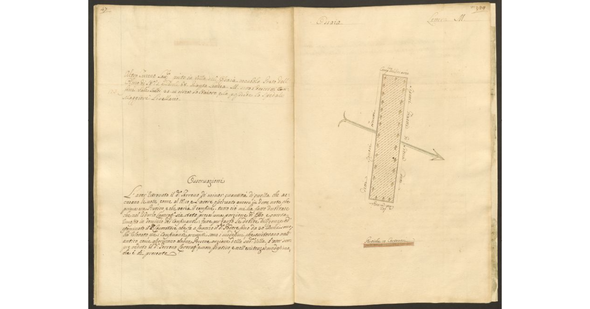 [Pianta di un appezzamento di terreno posto in Ossaia appartenente allo Spedale di S. Maria Maddalena e tenuto a livello dallo Spedale Maggiore di Cortona]