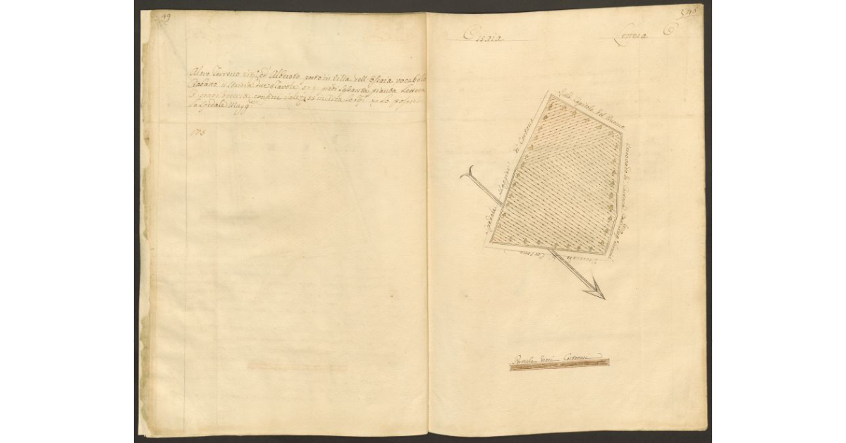 [Pianta di un appezzamento di terreno posto in Ossaia appartenente allo Spedale di S. Maria Maddalena e tenuto a livello dallo Spedale Maggiore di Cortona]