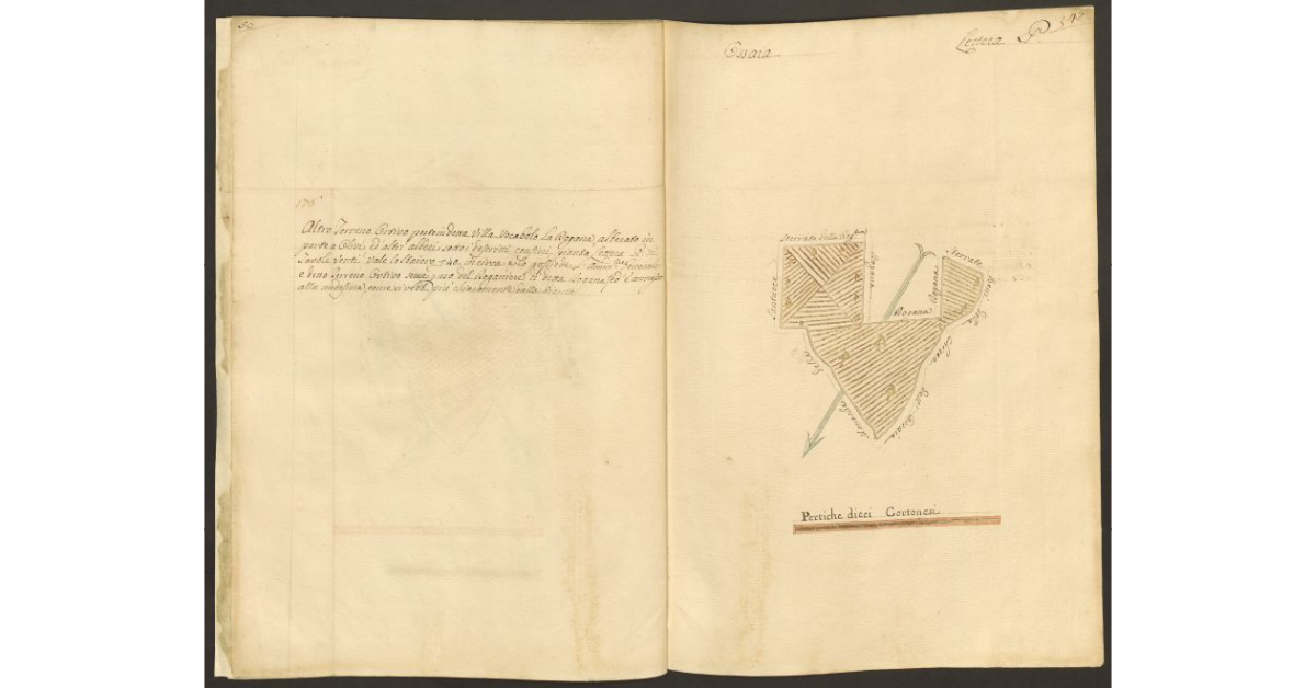 [Pianta di un appezzamento di terreno posto in Ossaia appartenente allo Spedale di S. Maria Maddalena ed utilizzato dal Doganiere]