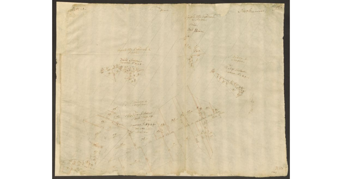 [Pianta di alcuni appezzamenti di terreno di dominio diretto del Bigallo concessi a livello nella comunità di Fiesole]