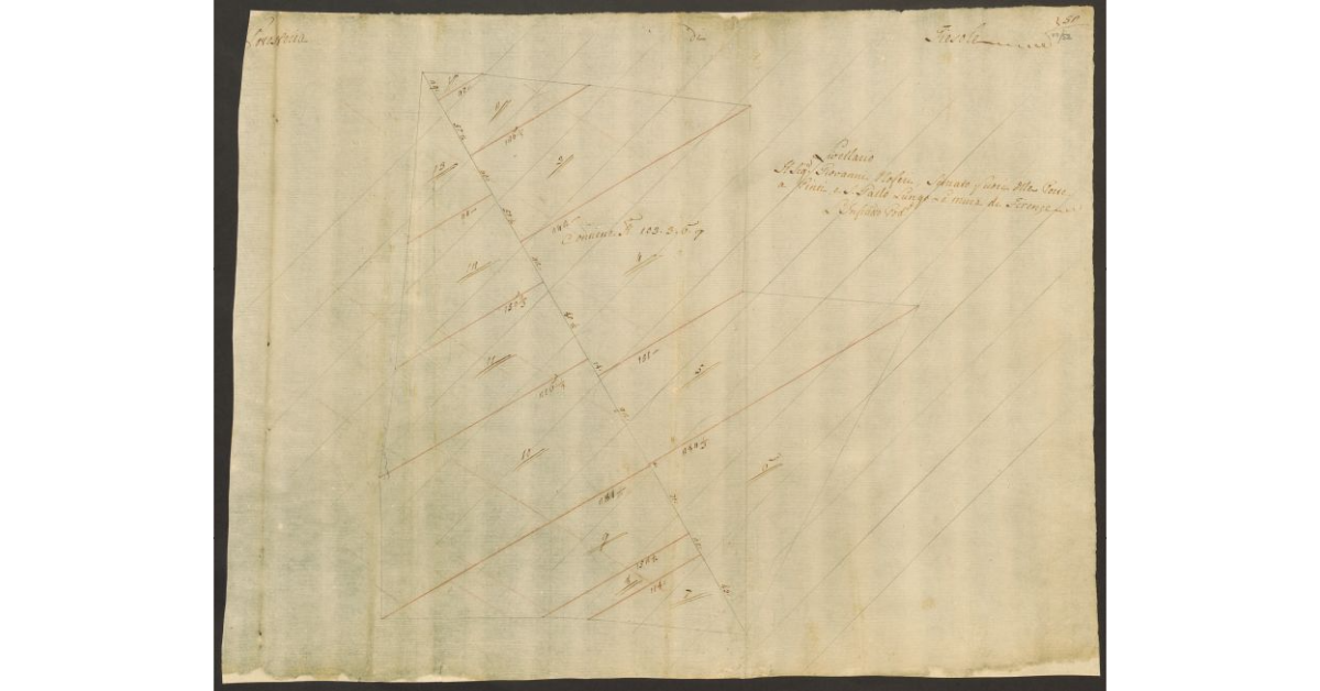 [Pianta di un podere di dominio diretto del Bigallo concesso a livello al sig. Giovanni Noferi nella comunità di Fiesole]